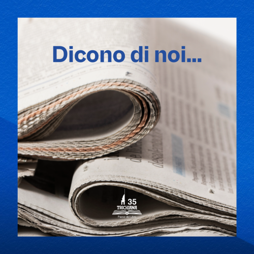 Senza titolo (55)